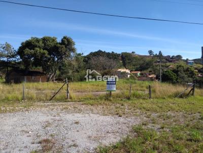 Terreno para Venda, em Biguaçu, bairro Areias De Cima